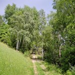 Auf dem Wald- und Wiesenweg Nr. 2A zur Spilucker Platte