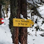 Auf dem Weg Nr. 1 auf den Maurerberg