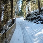 Naturrodelbahn von der Freundalm