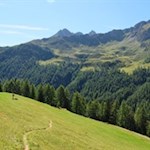 Im sanften Anstieg quert der Wanderweg die idyllischen Wiesen