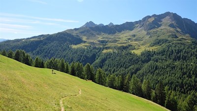 Im sanften Anstieg quert der Wanderweg die idyllischen Wiesen