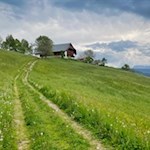 Inmitten bunter Blumenwiesen lädt der Tomanegger zur Einkehr
