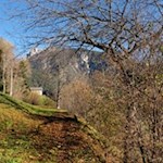 Il sentiero Sunnseitn attraversa prati e boschetti inondati di sole