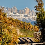 Blick auf die Rotwand im Rosengarten