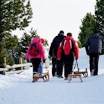Rodler auf der Villanderer Alm