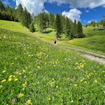 Die Landschaft um die Vaciara Hütte ist insbesondere im Frühsommer von bezaubernder Schönheit