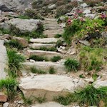 Auf steinbeschlagenen Wegen zur Tiefrastenhütte