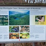 Das Biotop Montiggler See beherbergt zahlreiche Tiere und Pflanzen