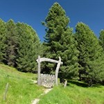 Hinter der Pecol-Hütte steigt der Weg gemächlich über Wiesen- und Waldhänge an