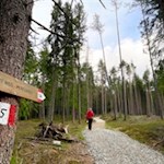 Am unteren Ende des LandArt-Weges