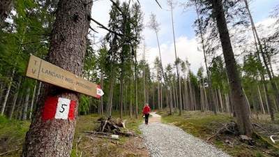 Am unteren Ende des LandArt-Weges