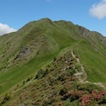 Südrücken-des-Höllenkragen