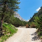 Attraverso pendii ricoperti di pini e fiori in direzione del rifugio Scotoni