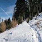 Abkürzung über die schmalen Waldpfade