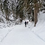 Auf sanft ansteigenden Wegen nach Zans