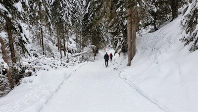 Auf sanft ansteigenden Wegen nach Zans