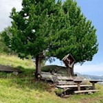 Lauschiges Plätzchen bei der Weizgruberalm