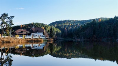 Die Umgebung spiegelt sich im klaren Wasser des Wolfsgrubener Sees