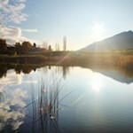 Am-Biotop-Laugen-mit-Blick-auf-den-Königsanger