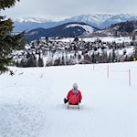 Vor malerischer Kulisse führt die Rodelbahn Karerpass zu Tale