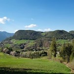 Blick auf den Laranzer Wald