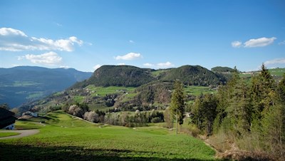 Blick auf den Laranzer Wald