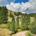 Hinter der Isi Hütte zweigt der Weg zur Gurndinalm ab