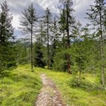 Vom Parkplatz Pares zum Mühlenweg