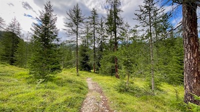 Vom Parkplatz Pares zum Mühlenweg