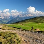 Rückwärtsgewandter Blick auf den breiten Anstiegsweg nahe der Grünfelder Alm