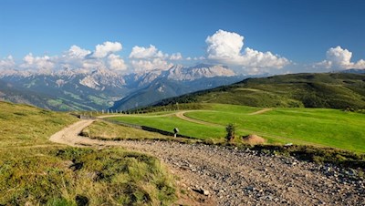 Rückwärtsgewandter Blick auf den breiten Anstiegsweg nahe der Grünfelder Alm