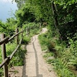 Der Partschinser Waalweg schlängelt sich durch eine idyllische Landschaft