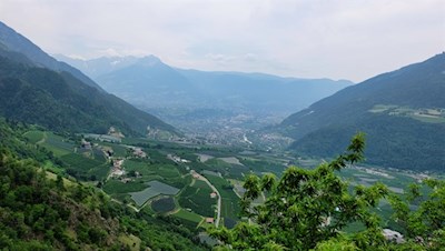 Ausblick vom Golderskofel