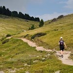 Dietro la linea del bosco, si estendono i dolci prati alpini della Rasciesa di Dentro