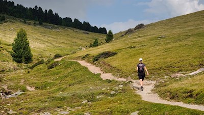 Dietro la linea del bosco, si estendono i dolci prati alpini della Rasciesa di Dentro