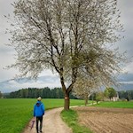 Vor Pfalzen zweigt der Weg Nr. 7 nach St. Valentin ab