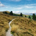 Auf einsamen Pfaden in Richtung Maurerberg