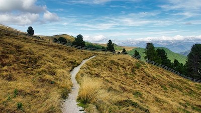 Auf einsamen Pfaden in Richtung Maurerberg