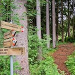 Der Seeweg Tru di Lec ist gut ausgeschildert