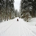 In kecken Schwüngen zurück zum Antholzer See
