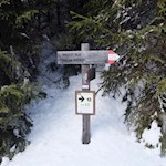 Die Olanger Rodelbahn ist gut ausgeschildert