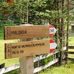 L'escursione al Munt de Valparola è ben segnalata