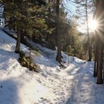 "Wem Gott will rechte Gunst erweisen, / Den schickt er in die weite […]" (Joseph von Eichendorff)