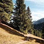 Auf dem sanften Wandersteig Nr. 4