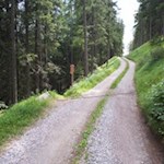 Zweimal mündet der Steig in einen breiten Forstweg
