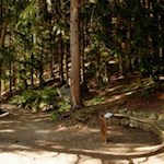 Unterwegs erfährt man allerlei Wissenswertes über die Südtiroler Natur- und Kulturlandschaft