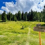 Schließlich mündet die Wanderung in einen breiten Weg