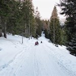 Abfahrt auf der Rodelbahn von der Sattelbergalm