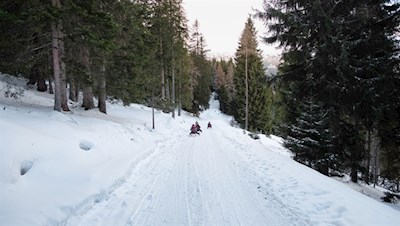 Abfahrt auf der Rodelbahn von der Sattelbergalm