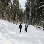 Winterwanderung zur Welschellener Alm